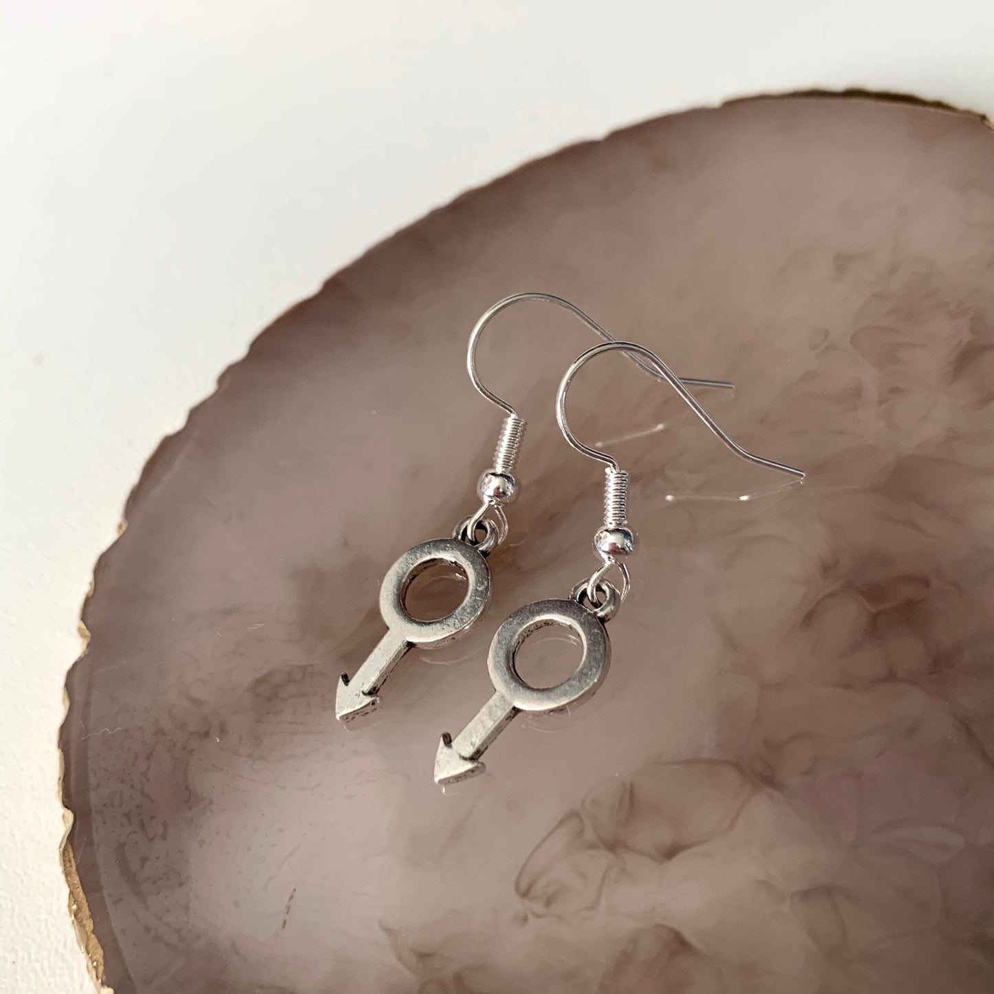 Silver plated gender sex symbol earrings